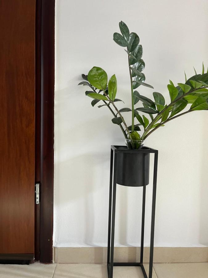 Seaside Cozy Apartment Agia  ภายนอก รูปภาพ